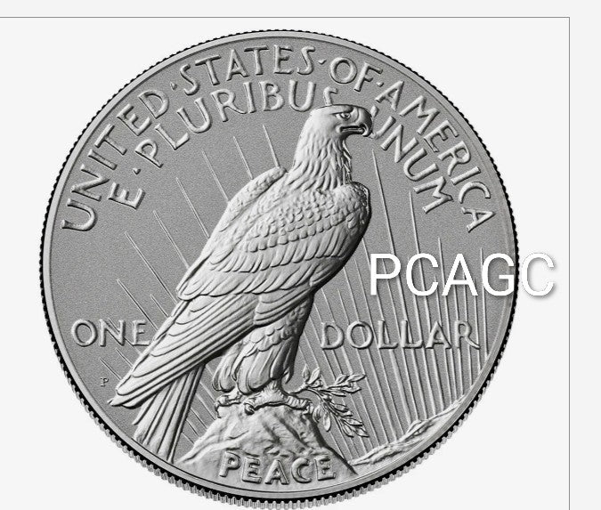 2026 Peace Silver Reverse Proof Dollar Coin